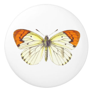 Bouton De Porte En Céramique Papillon jaune et orange