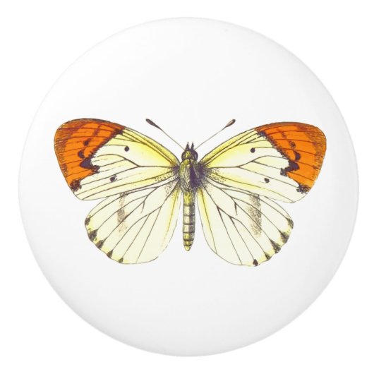 Bouton De Porte En Céramique Papillon jaune et orange (Devant)