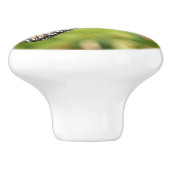 Bouton De Porte En Céramique Papillon Monarque sur papillon pourpre Bush (Côté)