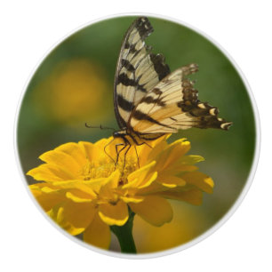Bouton De Porte En Céramique Papillon sur Zinnia Ceramic Knob