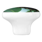 Bouton De Porte En Céramique Papillon Swallowtail I sur Milkweed à Shenandoah (Côté)