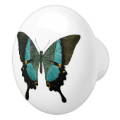 Bouton De Porte En Céramique Papillon turquoise (Droite)