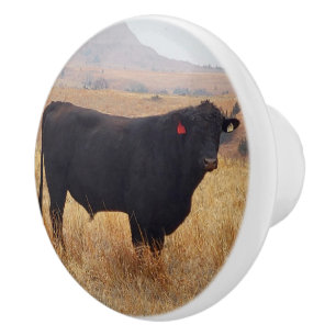 Bouton De Porte En Céramique Pâturage de Steer Black Angus avec son troupeau