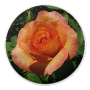 Bouton De Porte En Céramique Peach Rose Orange Floral Photographie