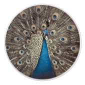 Bouton De Porte En Céramique Peacock bleu antique (Devant)
