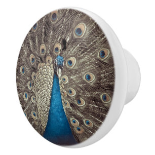 Bouton De Porte En Céramique Peacock bleu antique