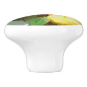 BOUTON DE PORTE EN CÉRAMIQUE PÊCHES (Côté)