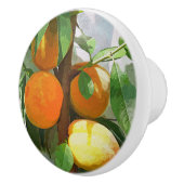 BOUTON DE PORTE EN CÉRAMIQUE PÊCHES (Droite)