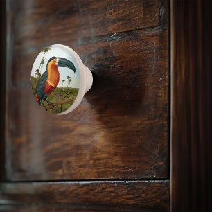 Bouton De Porte En Céramique Peinture Toucan