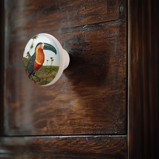 Bouton De Porte En Céramique Peinture Toucan