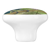 Bouton De Porte En Céramique Peinture Toucan (Côté)