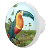 Bouton De Porte En Céramique Peinture Toucan (Droite)
