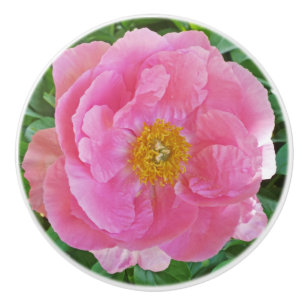 BOUTON DE PORTE EN CÉRAMIQUE PEONY ROSE-CANDY