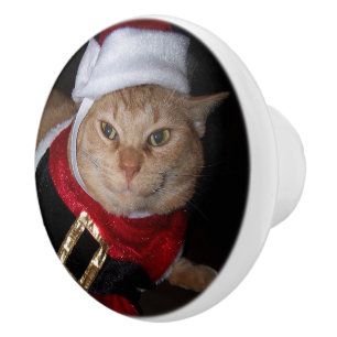 Bouton De Porte En Céramique Père Noël Orange Tabby Chat Noël Knob