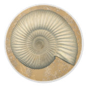 Bouton De Porte En Céramique Perisphinctes Ammonite (Devant)