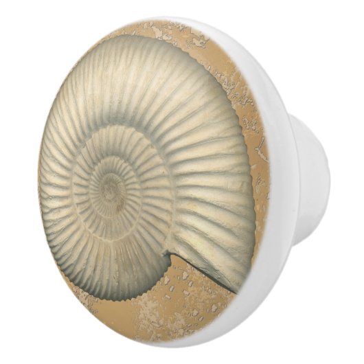 Bouton De Porte En Céramique Perisphinctes Ammonite (Droite)