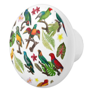 Bouton De Porte En Céramique Perroquets tropicaux colorés, Feuilles et fleurs