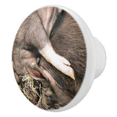 BOUTON DE PORTE EN CÉRAMIQUE PETITS COUPES (Droite)