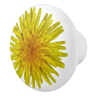Bouton De Porte En Céramique Photo jaune de pissenlit de fleur