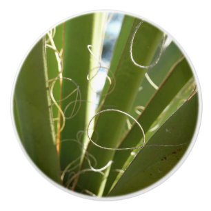 Bouton De Porte En Céramique Photographie de la nature verte Feuille du Yucca