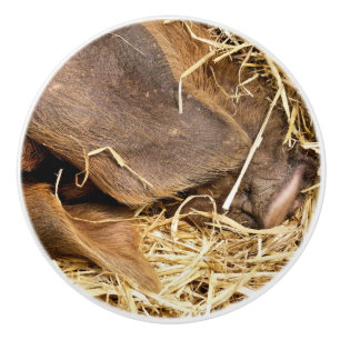 BOUTON DE PORTE EN CÉRAMIQUE PIÈCES