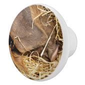 BOUTON DE PORTE EN CÉRAMIQUE PIÈCES (Droite)