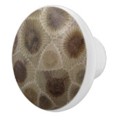 Bouton De Porte En Céramique Pierre de Petoskey (Droite)