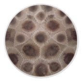 Bouton De Porte En Céramique Pierre de Petoskey (Devant)