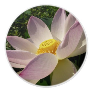 Bouton De Porte En Céramique Pink Lotus Flower III Summer Floral