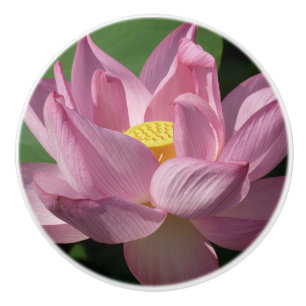 Bouton De Porte En Céramique Pink Lotus Flower IV