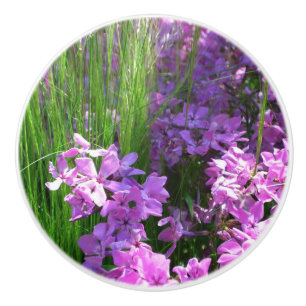 Bouton De Porte En Céramique Pink Phlox et Grass été Floral