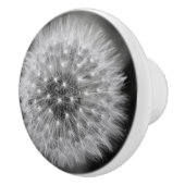 Bouton De Porte En Céramique Pissenlit (Droite)