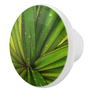 Bouton De Porte En Céramique Pluie matinale sur le pin à vis