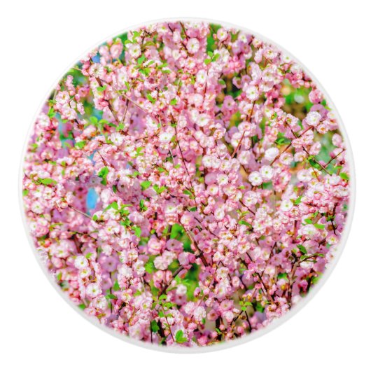 Bouton De Porte En Céramique Plum à fleurs (Devant)