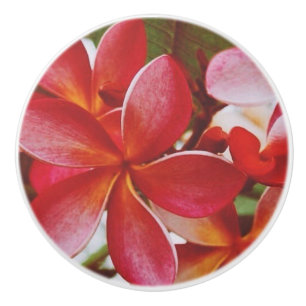 Bouton De Porte En Céramique Plumeria hawaïenne
