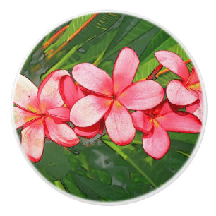 Bouton De Porte En Céramique Plumerias