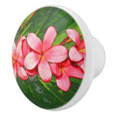 Bouton De Porte En Céramique Plumerias (Droite)