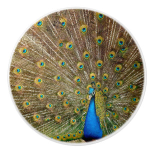 Bouton De Porte En Céramique Plumes de queue de paon