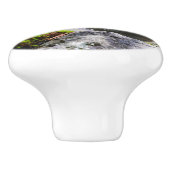 Bouton De Porte En Céramique Poisson Koi dans un étang (Côté)