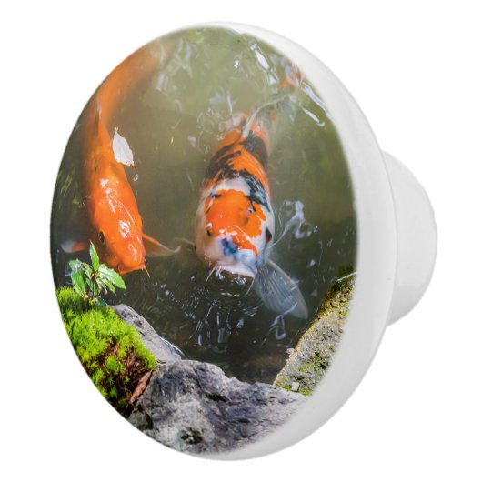 Bouton De Porte En Céramique Poisson Koi dans un étang (Droite)