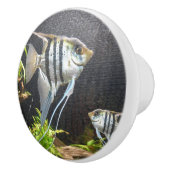 Bouton De Porte En Céramique Poisson Tropical à rayures en céramique Pull (Droite)