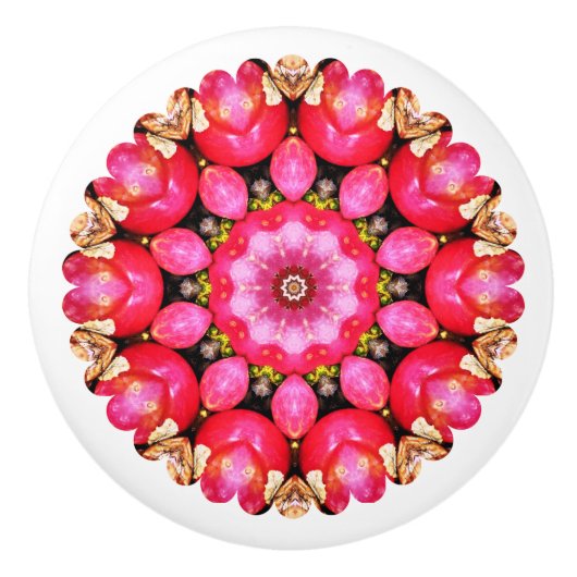 BOUTON DE PORTE EN CÉRAMIQUE POMMES (Devant)