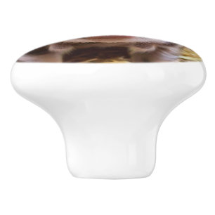 Bouton De Porte En Céramique Porcelet mignon