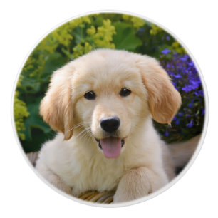 Bouton De Porte En Céramique Portrait de charme de chiot de chien de Goldie,