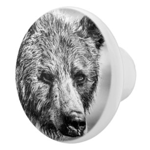Bouton De Porte En Céramique Portrait d'ours grizzli