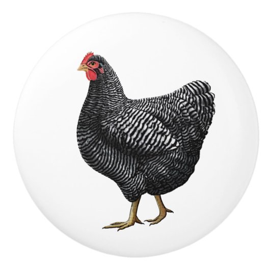 Bouton De Porte En Céramique Poulet d'élevage de poulets Tiroir (Devant)