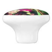 Bouton De Porte En Céramique Priez Mantis Élevée De Près (Côté)