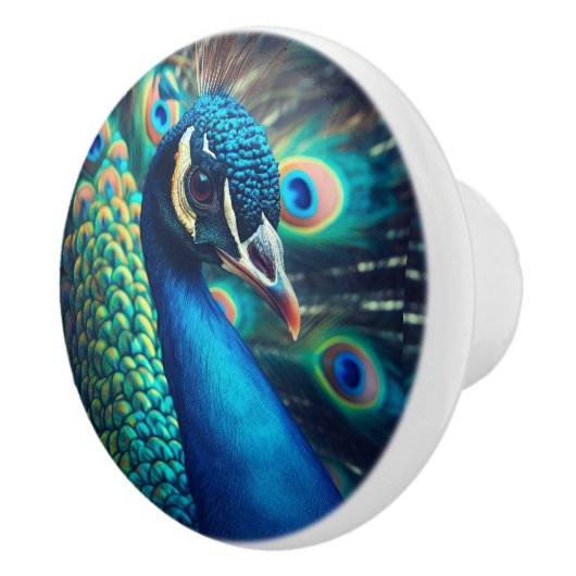 Bouton De Porte En Céramique Profil Peacock (Droite)