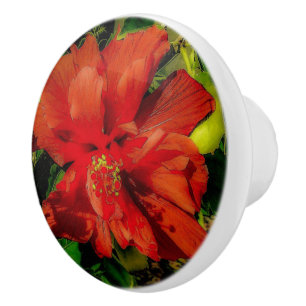Bouton De Porte En Céramique Puissance des fleurs rouges