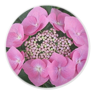 Bouton De Porte En Céramique Pull en céramique Lacecap Hydrangea